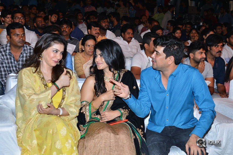 Chal-Mohan-Ranga-Pre-Release-Function-Photos